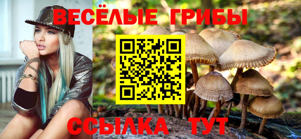 Псилоцибиновые грибы мухоморы  Псилоцибиновые грибы ЛСД  Вход с VPN  Бердск 